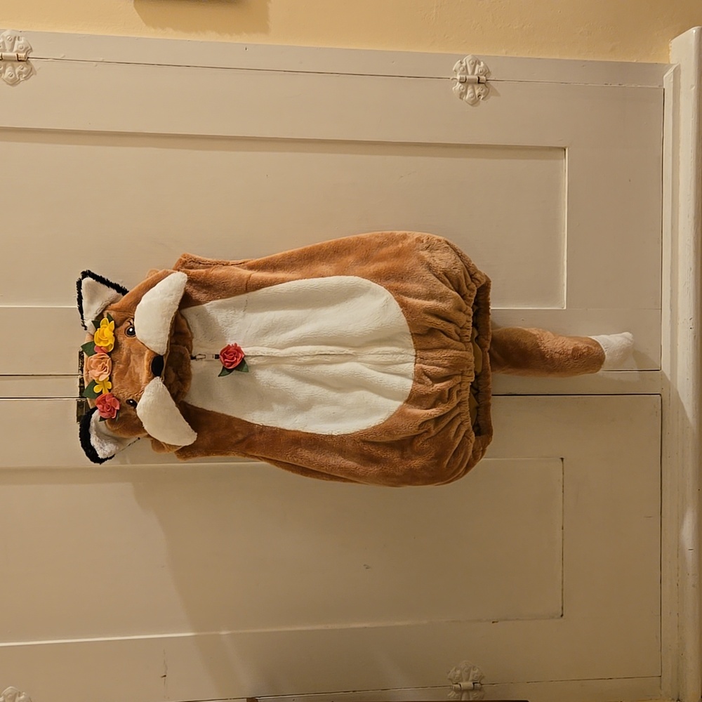 COPY - Dream Play Imagine fox costume Sz  12 mos